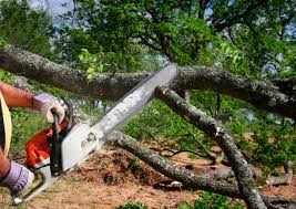 Best Lawn Drainage Solutions  in Lewisburg, KY