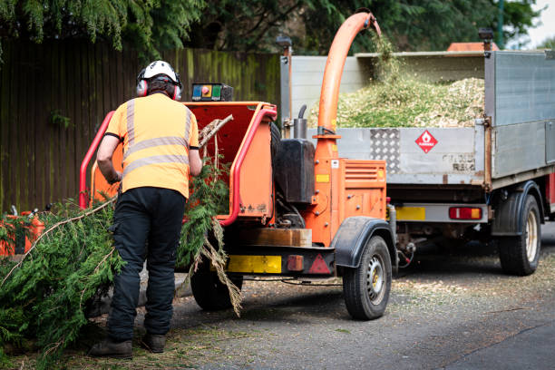 Best Aeration Services  in Lewisburg, KY